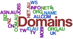آشنایی با دامنه ویژه یا Premium Domain