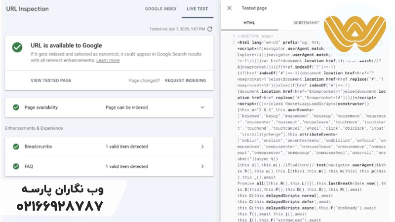 نکات مهم برای رشد سئو وب سایت